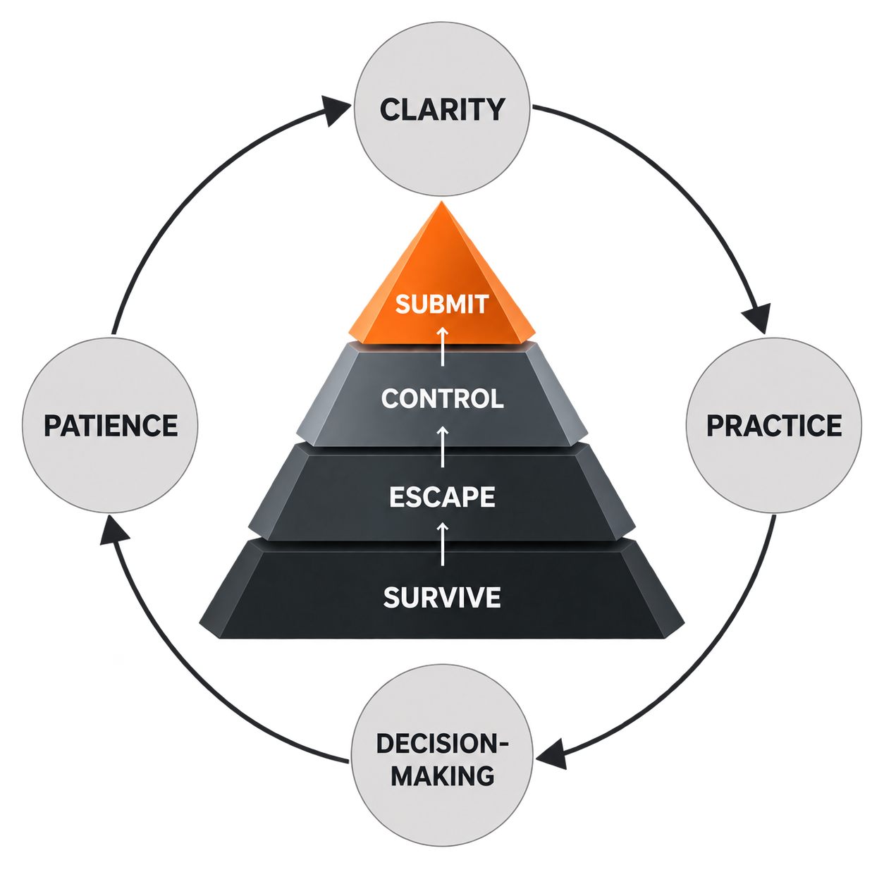 The Rilion Gracie method: a pyramid rising from Survive through Escape and Control to Submit, surrounded by Clarity, Practice, Decision-making and Patience